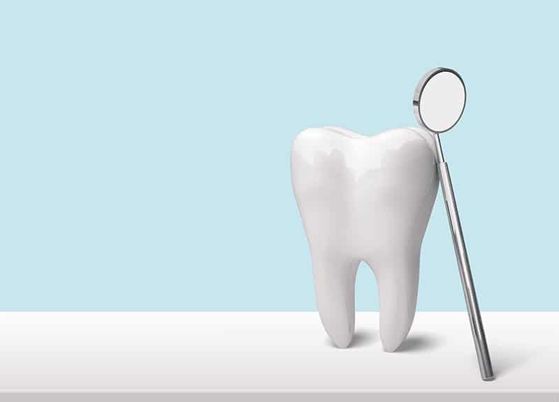 Illustration of a Tooth — Dentist in Palm Beach, QLD